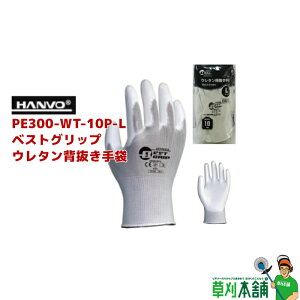 n{ PE300-WT-10P xXgObv(M/L) E^w  10o