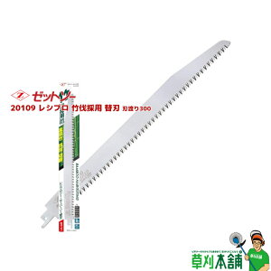 Z\[ 20109 Vv |̗p ֐n nn300