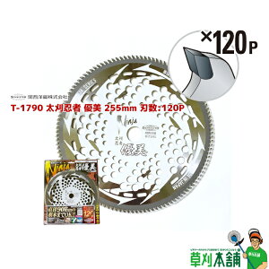 ֐m T-1790 @p`bv\[ E D 255x120P Oa:255mm n:120