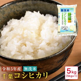 米 5kg 無洗米 令和5年産 千葉コシヒカリ5kg【41】
