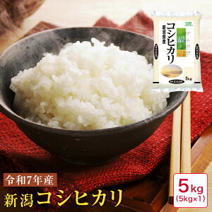 米 5kg 令和7年産 新潟コシヒカリ5kg【44】