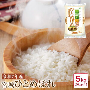  5kg ߘa7NY {ЂƂ߂ڂ5kgy26z