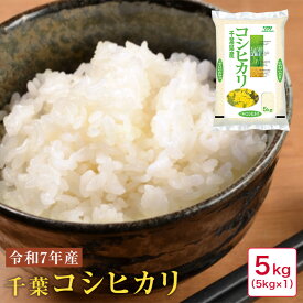 米 5kg 令和7年産 千葉コシヒカリ5kg【38】