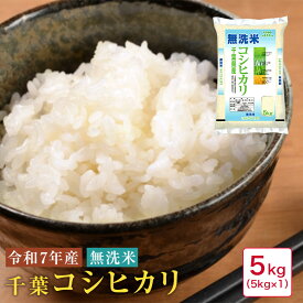 米 5kg 無洗米 令和7年産 千葉コシヒカリ5kg【41】