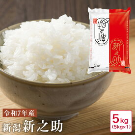 スーパーセール特別価格　米 5kg 令和7年産 新潟新之助5kg【50】