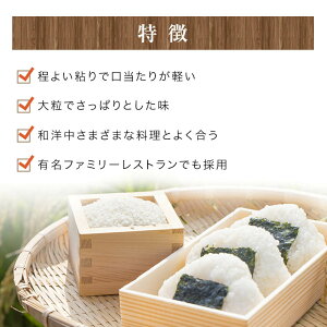 米10kg送料無料令和元年産群馬あさひの夢（５ｋｇ×２）１０ｋｇ【令和元年産】＼食感も甘みも最高品質♪／【あさひの夢10kg送料無料】【米10キロあさひの夢】【10キロ米送料無料】【送料無料10kg】