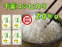 【お得♪5kg×4】＼程よい粘りでもっちり美味しい♪／28年産 千葉県産コシヒカリ20kg（5kg×4）＼関東代表コシヒカリ／【お米 20kg 送料無料 こしひ... ランキングお取り寄せ
