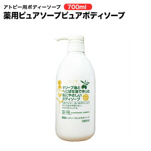 Ags[p psA\[v sA{fB\[v 700ml 4ނ̐A Ζnsgp