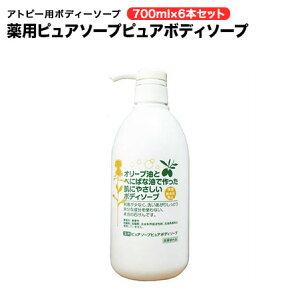 6{Zbg Ags[p psA\[v sA{fB\[v 700ml×6{Zbgyz 4ނ̐A Ζnsgp