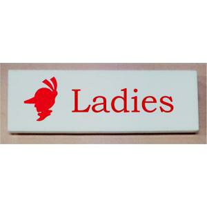 �g�C�����̃v���[�g�@15cmx5cm
