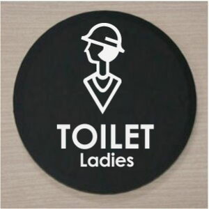 �A�N�����ی^�v���[�g10cm