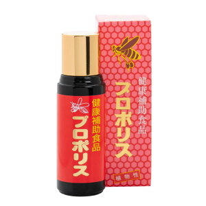 v|X 11mly܂ƖIz@N R VR