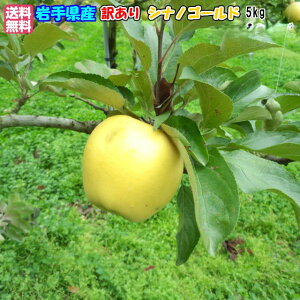 ᑁ\11{`\茧Y YnIp 󂠂VimS[h5kg(20`24)