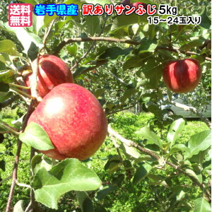 ᑁ\11{`\茧Y YnIp 󂠂Tӂ5kgi15`24ʁj