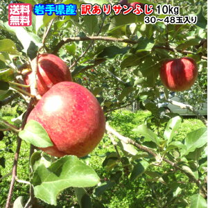 ᑁ\11{`\茧Y YnI p 󂠂Tӂ10kg(30`48)