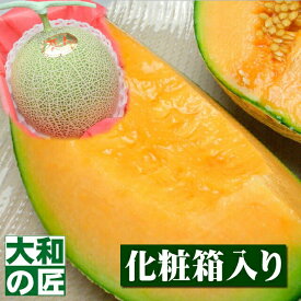 【順次発送可能★】熊本県産 恋人メロン[1玉入り化粧箱]【売れ筋】 フルーツ 果物 メロン 赤肉メロン お供え お見舞い 内祝 ギフト 贈り物 プレゼント グルメ お歳暮 御歳暮