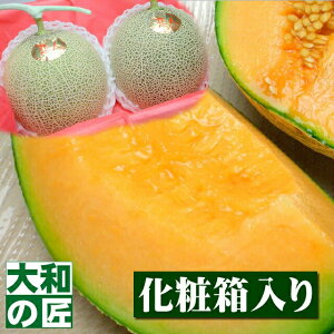 y11{ȍ~\聚zF{Y l[2ʓ艻ϔ] t[c ʕ  ԓ   j Mtg 蕨 v[g O  䒆
