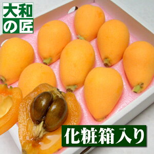 �y���������\�����z���茧�Y �Ζ؂т�[2L9���薔��3L�T�C�Y8����] �t���[�c �ʕ� �т� �r�� ���i �M�t�g ���蕨 �v���[���g �O����