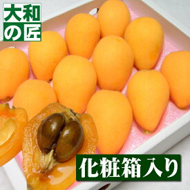 【3月下旬以降予定★】楽天ランキング1位獲得★長崎県産 茂木びわ[Lサイズ12個入り] フルーツ 果物 びわ ビワ 琵琶 ギフト 贈り物 プレゼント グルメ 初物