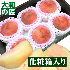 y8/26ȍ~\聚zyz RY [6蔠]y؁z t[c ʕ        䒆 ʕ Mtg 蕨 v[g O 