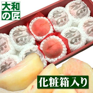y8/26ȍ~\聚z t[cRւI RY M[10艻ϔ] t[c ʕ        䒆 ʕ Mtg 蕨 v[g O