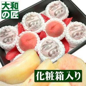 y8/26ȍ~\聚zt[cRւI RY M[8艻ϔ] t[c ʕ        䒆 ʕ Mtg 蕨 v[g O 