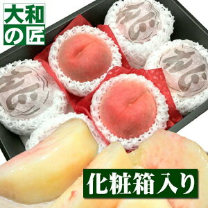 y8/26ȍ~\聚zt[cRւI RY M[6艻ϔ] t[c ʕ        䒆 ʕ Mtg 蕨 v[g O 