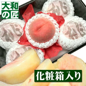 y8/26ȍ~\聚zt[cRւI RY M[5艻ϔ] t[c ʕ        䒆 ʕ Mtg 蕨 v[g O 