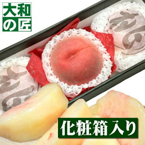 y8/26ȍ~\聚z t[cRւI RY M[3艻ϔ]y؁z t[c ʕ        䒆 ʕ Mtg 蕨 v[