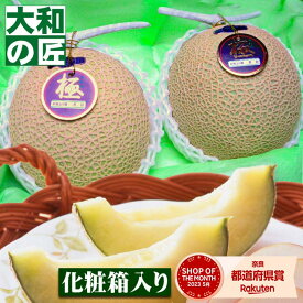 静岡県産 クラウンメロン[2個入り化粧箱] フルーツ 果物 メロン マスクメロン お供え お見舞い 内祝 ギフト 贈り物 プレゼント グルメ 御供 お供え 御供 御霊前 御仏前 法要 お忌み お悔やみ 法事 中元 お中元 御中元 お礼 お祝い 入学祝 お歳暮 御歳暮