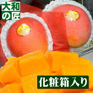 �y���������\���z ������ �䒆�� ���̓� ���{�����̍q��փ}���S�[�����͂������L�V�R�Y �A�b�v���}���S�[[���I���2���艻�ϔ�] �t���[�c �ʕ� �}���S�[ ���� ���w ������ �䋟 �M�t�g