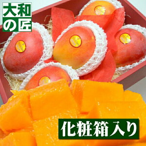 �y���������\���z���{�����̍q��փ}���S�[�����͂������L�V�R�Y �A�b�v���}���S�[[���I���5���艻�ϔ�] �t���[�c �ʕ� �}���S�[ ���� ������ �䒆�� ���w ������ �䋟 �M�t�g ���蕨 