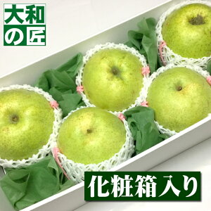 y9{ȍ~\聚zY ()[5艻ϔ] ʕ t[c  Ȃ iV a  hV̓ hV 䋟 䋟  ފ ފ Mtg 蕨 v[g O