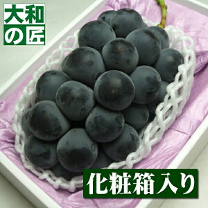 uhE̖YnR̎햳uhE RY IsI[l[1[艻ϔ]y؁z t[c ʕ  Ԃǂ uhE    䒆 ʕ Mtg 蕨 v[g O