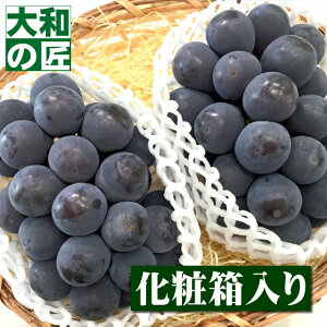 y\zuhE̖YnR̎햳uhE RY  sI[l [Gi 400g-450g x 2[蔠] t[c ʕ  Ԃǂ uhE  ʕ Mtg 蕨 v[g O