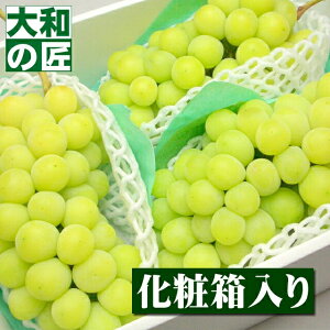 y6{ȍ~\聚zYnI IVC}XJbg[[3[艻ϔ] t[c ʕ  Ԃǂ uhE    䒆 ʕ Mtg 蕨 v[g O