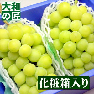 y6{ȍ~\聚zYnI IVC}XJbg[[2[艻ϔ]y؁z t[c ʕ  Ԃǂ uhE    䒆 ʕ Mtg 蕨 v[g O