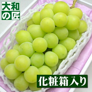 y\zYnI IVC}XJbg[[1[艻ϔ]y؁z t[c ʕ  Ԃǂ uhE    䒆 ʕ Mtg 蕨 v[g O