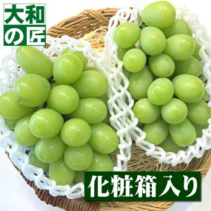 y\zYnI  VC}XJbg [Gi 400g-450g x 2[蔠]y؁z Ԃǂ uhE  Mtg 蕨 v[g O hV̓ ފ ފ