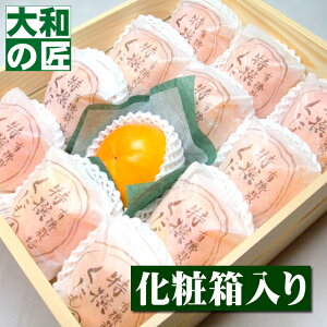y11{ȍ~\聚zޗǌY xL`(ӂ`) `[4LTCY12艻ϔ] t[c ʕ  JL ` Ê` 䋟  q@ q@W Mtg 蕨 v[g O