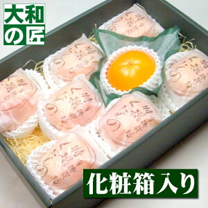 y11{ȍ~\聚zޗǌY xL`(ӂ`) `[4LTCY8艻ϔ] t[c ʕ  JL ` Ê` 䋟  q@ q@W Mtg 蕨 v[g O