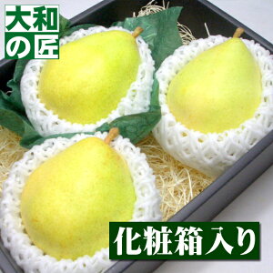 y10{ȍ~\聚zm hCAkEfER~X[R`Y 3艻ϔ] m m 䋟 䋟  ފ ފ Mtg 蕨 v[g O