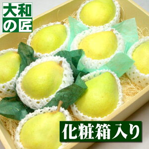 y10{ȍ~\聚zm hCAkEfER~X[R`Y 8艻ϔ] m m 䋟 䋟  ފ ފ Mtg 蕨 v[g O