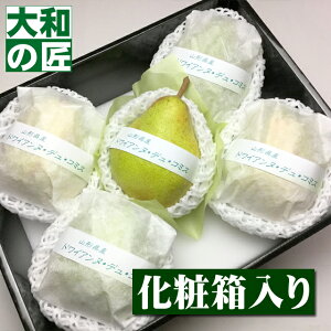 y10{ȍ~\聚zm hCAkEfER~X[R`Y 5艻ϔ] m m 䋟 䋟  ފ ފ Mtg 蕨 v[g O