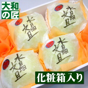 y\zmY IU[4艻ϔ] U U{ t[c ʕ Ε Ε Ε   j Mtg 蕨 v[g O