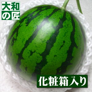 y\zł݂̋󒆗͔̍|mY {XCJ(isGi)[1ʓ蔠]y؁z t[c ʕ  XCJ Z 䋟   j Mtg