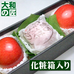 y10{ȍ~\聚z쌧Y VimXC[g[3艻ϔ]  S ь 䋟 䋟  Mtg 蕨 v[g O