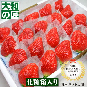 y12{ȍ~\聚zywm(_ _)mz zCgf[ ̎sɂ̂ݏoׂiY ߉͓  [嗱20艻ϔ] t[c ʕ C`S 