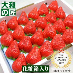 y12{ȍ~\聚zywm(_ _)mz zCgf[ ̎sɂ̂ݏoׂiY ߉͓  [嗱24艻ϔ] t[c ʕ C`S 