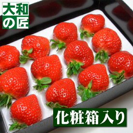 【順次発送可能★】福岡県産 特選あまおう [大粒8-12粒入り化粧箱] フルーツ 果物 あまおう イチゴ いちご 苺 DX デラックス 歳暮 お歳暮 御歳暮